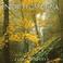 Cover of: North Carolina Wonder and Light (Wonder and Light series)