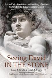 Seeing David in the stone by James B. Swartz, Joseph E. Swartz