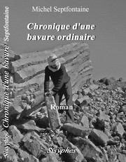 ERREUR FATALE - Chronique d'une bavure ordinaire by Michel Septfontaine