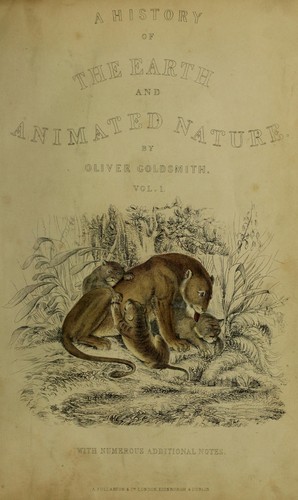 Book's cover