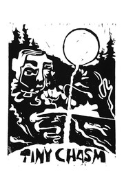 Cover of: Tiny Chasm by 
