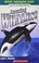 Cover of: AMAZING WHALES