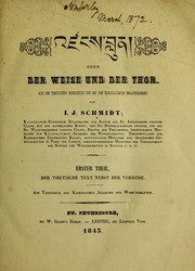 Cover of: 'Dzangs blun =: oder Der Weise und der Thor