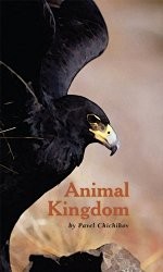 Cover of: Animal Kingdom
