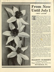 Cover of: From now until July 1: not later