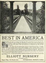 Cover of: Best in America by J. Wilkinson Elliott (Firm)