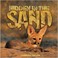 Cover of: Hidden in the sand