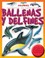 Cover of: Ballenas Y Delfines