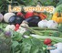 Cover of: Las Verduras