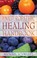 Cover of: The Naturopathic Healing Handbook