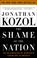 Cover of: The Shame of the Nation