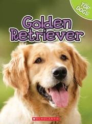 Golden Retriever by Charles George
