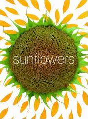 Cover of: Sunflower Small Note Cards (Potter Style)