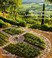 Cover of: Mediterranean Landscape Design Vernacular Contemporary