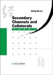 Cover of: Secondary Channels And Collaterals Research On The Secondary Channels And Collaterals System And Their Clinical Applications Which Go Beyond The Traditional Channels And Collaterals System Er Ji Jing Luo Xue