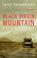 Cover of: Black Virgin Mountain