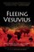 Cover of: Fleeing Vesuvius Overcoming The Risks Of Economic And Environmental Collapse