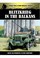 Cover of: Blitzkrieg In The Balkans And Greece 1941