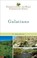 Cover of: Galatians
            
                New International Biblical Commentary New Testament