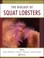 Cover of: The Biology Of Squat Lobsters