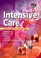 Cover of: Intensive Care An Illustrated Colour Text