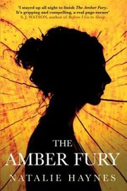 Cover of: Amber Fury