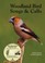 Cover of: WOODLAND BIRDS SONGS  CALLS