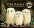 Cover of: Owl Babies