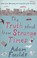 Cover of: The Truth About These Strange Times
