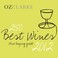Cover of: 250 Best Wines Wine Buying Guide 2012