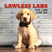 Cover of: Lawless Labs Good Labs Gone Bad