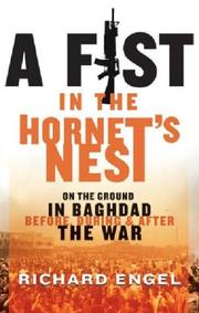 A fist in the hornet's nest by Richard Engel