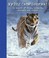 Cover of: My Big Cats Journal In Search Of Lions Leopards Cheetahs And Tigers