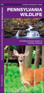 Cover of: Pennsylvania Wildlife An Introduction To Familiar Species