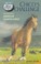 Cover of: Chicos Challenge The Story Of An American Quarter Horse