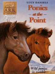 Ponies At The Point by Lucy Daniels