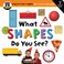 Cover of: What Shapes Do You See