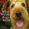 Cover of: What Happy Dogs Know