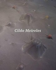 Cover of: Cildo Meireles by Guy Brett