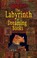 Cover of: The Labyrinth Of Dreaming Books