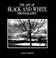 Cover of: The Art of Black and White Photography