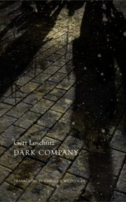 Cover of: Dark Company: A Novel In Ten Rainy Nights