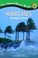 Cover of: Hurricanes Weathering The Storm