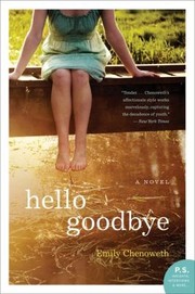 Cover of: Hello Goodbye A Novel
