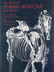 Cover of: An Atlas Of Animal Anatomy For Artists