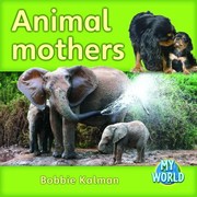 Cover of Animal Mothers by bobbie kalman
