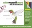Cover of: Birds Of North America The Fun Visual Way To Teach Yourself About Anything And Everything