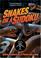 Cover of: Snakes on a Sudoku