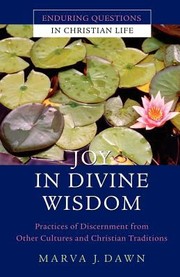 Cover of: Joy In Divine Wisdom Practices Of Discernment From Other Cultures And Christian Traditions