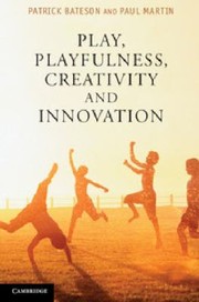 Play Algorithm How Playful Behaviour Drives Innovation by Paul Martin